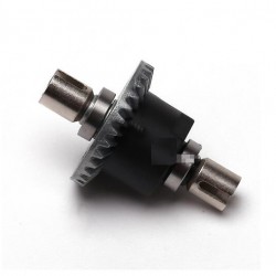 Wltoys 124018 Differential Assembly