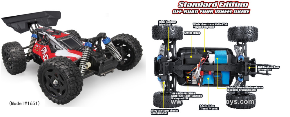 REMO HOBBY Dingo 1651 1/16 2.4G 4WD RC Car