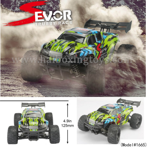 Remo Sevor 1665 RC Car