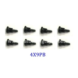 XLF X03 X04 Parts Step Screw 4X9PB XLF-1010