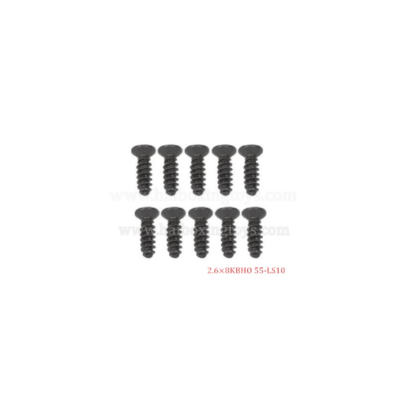 9155 9156 RC Car Parts Screw 55-LS10