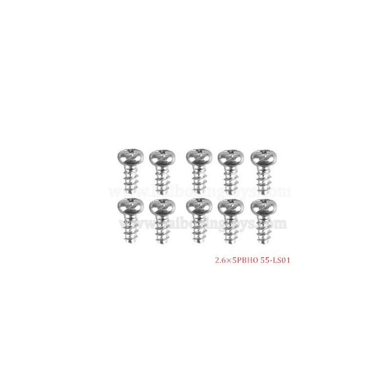 9155 9156 RC Car Parts Screw 55-LS01
