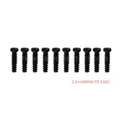 9155 9156 RC Car Parts Screw 55-LS02