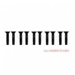 9155 9156 RC Car Parts Screw 55-LS03