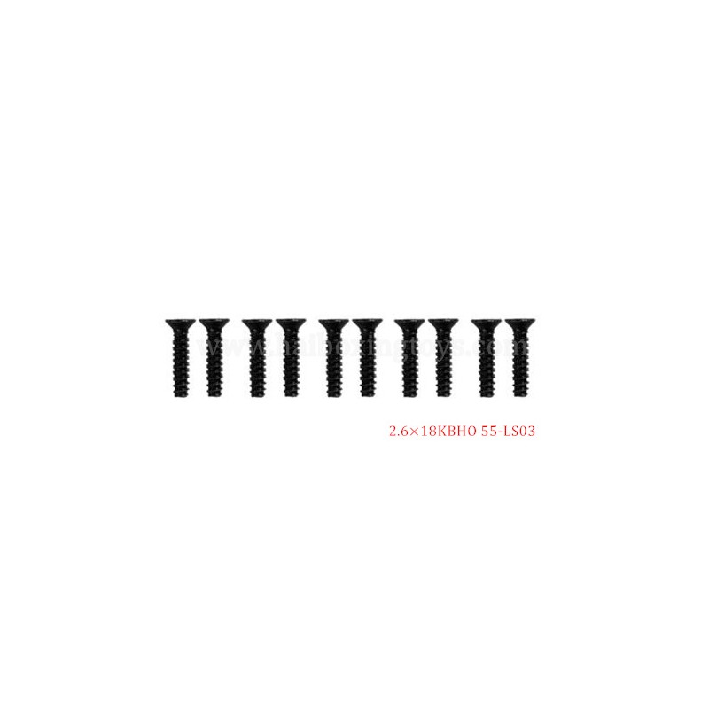 9155 9156 RC Car Parts Screw 55-LS03